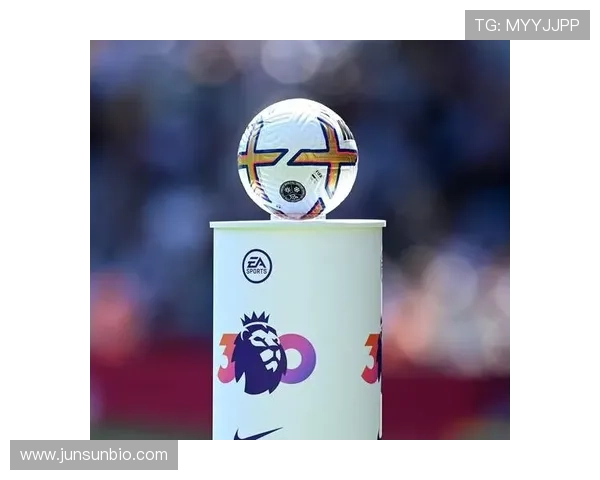 西汉姆联球迷发声抗议，呼吁俱乐部重视支持者权益问题