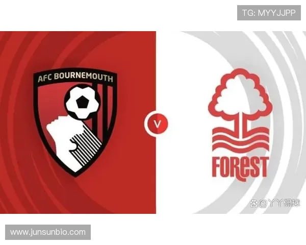 英超伯恩茅斯新球场建设进展与未来规划